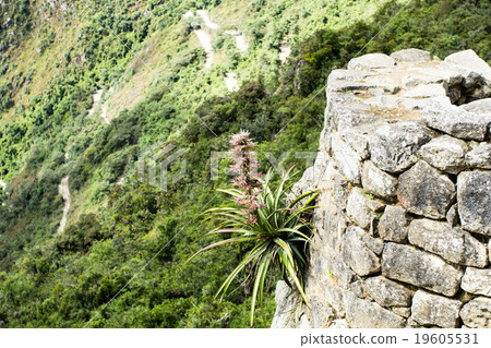 Machu Picchu, the ancient Inca city in the Andes 19605531