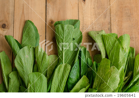 Fresh Green Chinese Cabbage, Bok Choy or Pak Choi Fresh Green Chinese Cabbage, Bok Choy or Pak Choi 19605641