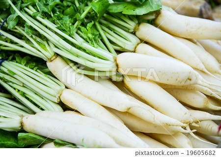 Donkeon蘿蔔 Donkeon蘿蔔 19605682