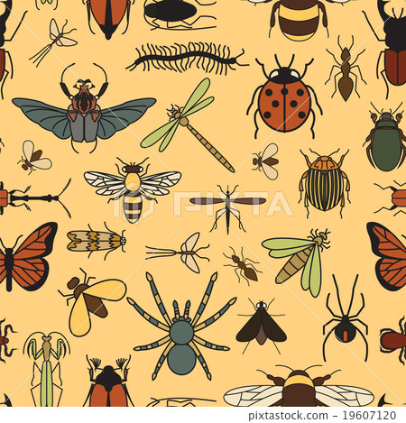 Insects seamless pattern. 24 pieces in set. 19607120