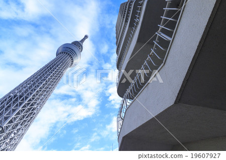 冬天天空樹 冬天天空樹 19607927