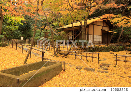 Autumn leaves of Sanpi Garden 19608228