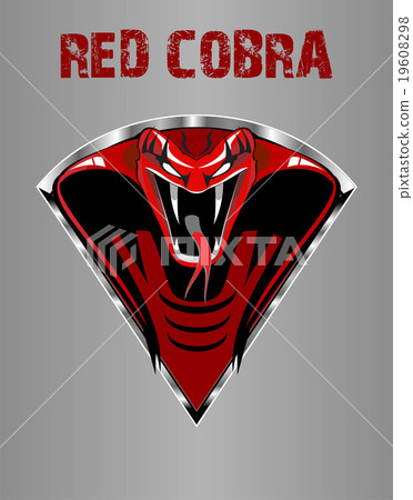 Amazing Red King Cobra 19608298