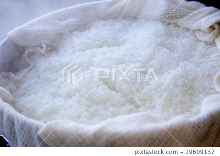 蒸米糕米飯 蒸米糕米飯 19609137