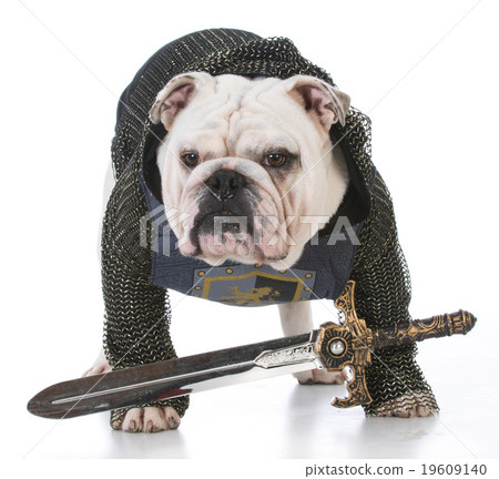 knight knight 19609140