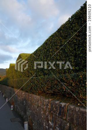 武士住所 19609210