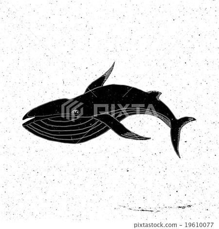 Hand drawn Whale Hand drawn Whale 19610077