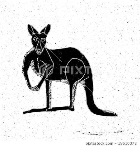 Hand drawn kangaroo Hand drawn kangaroo 19610078
