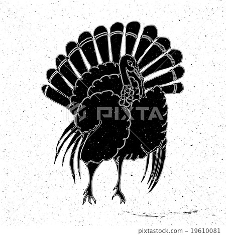 Turkey hand drawn Turkey hand drawn 19610081