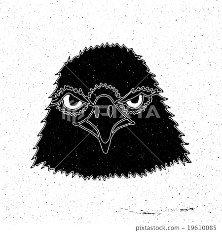 Hand-drawn head of an eagle Hand-drawn head of an eagle 19610085