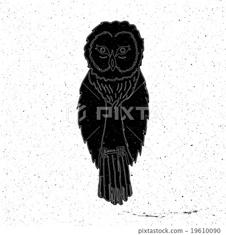 Owl hand drawn in grunge style Owl hand drawn in grunge style 19610090