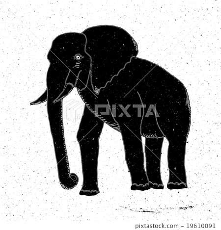 Hand-drawn elephant in grunge style Hand-drawn elephant in grunge style 19610091