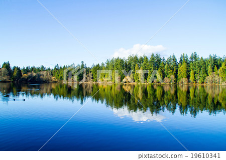 Nature of Vancouver 19610341