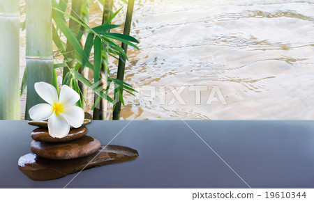 plumeria on pebble rock and bamboo tree and water  19610344