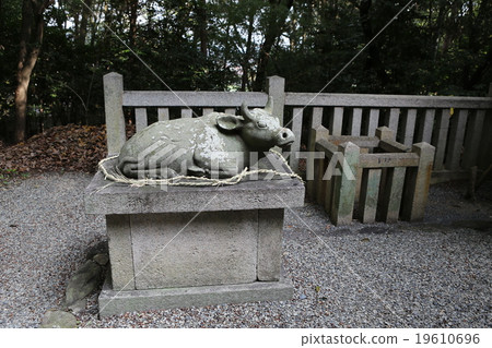 Used cattle Used cattle 19610696