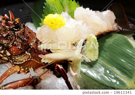 伊勢蝦蝦 伊勢蝦蝦 19611341