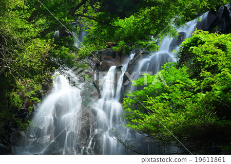 飛龍瀑布 19611861