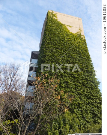 Blue Sky and Building Wall Greening Blue Sky and Building Wall Greening 19611888