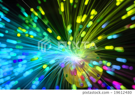 LEDs 19612480
