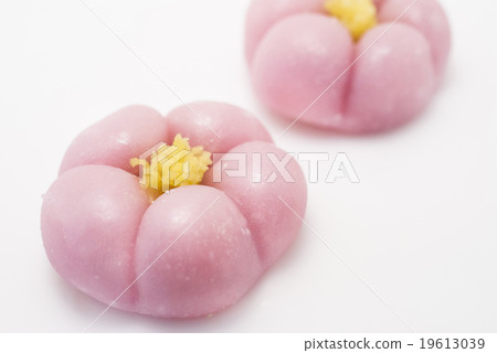 梅花 19613039