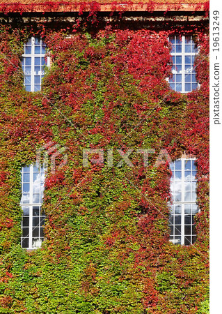 green wall vertical at Cityhall in Stockholm 19613249