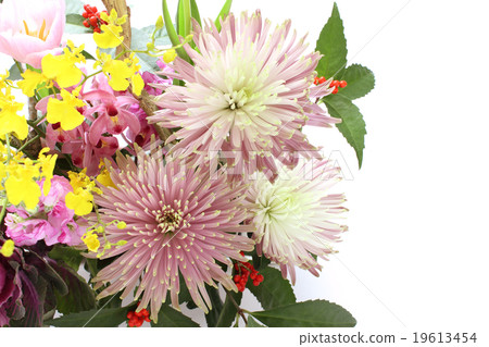 Chrysanthemum, Orchid and Pine Tree Festival Ikebana (Horizontal part) 19613454