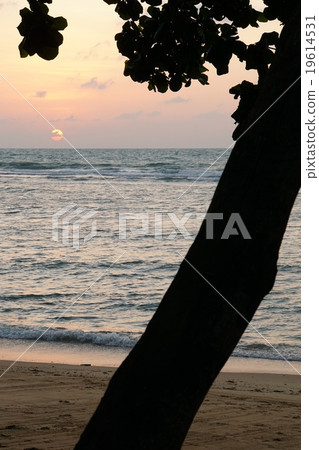 ko samui, ocean, sea 19614531