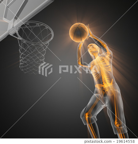 basketball player bones radiography 19614558