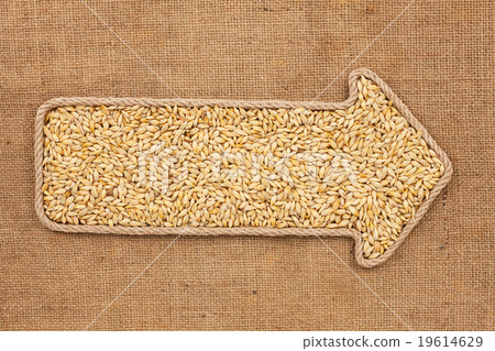 Pointer made from rope with grain barley Pointer made from rope with grain barley 19614629