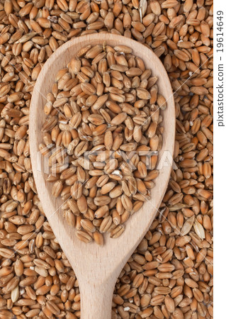 Wooden spoon with wheat Wooden spoon with wheat 19614649