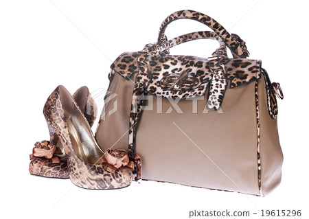 Bag and Shoes 19615296