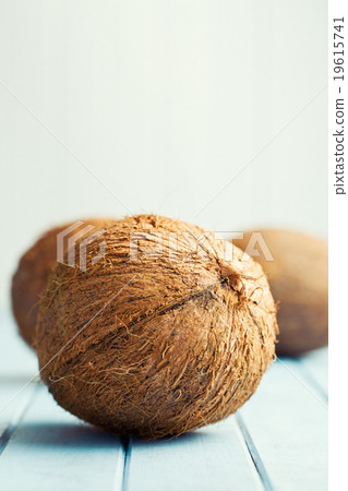 whole coconuts whole coconuts 19615741