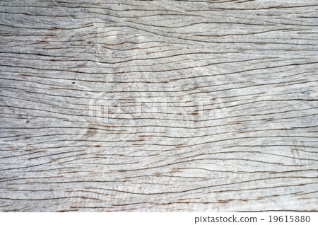 Wood texture Wood texture 19615880