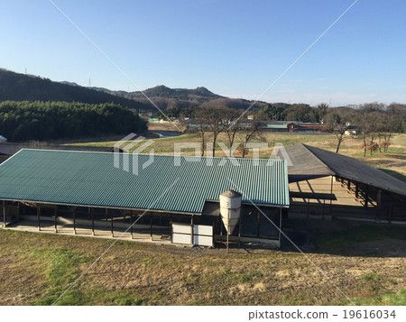一個農場 一個農場 19616034