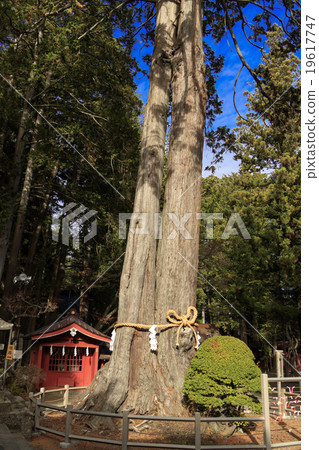 淺間神社的秋天 19617747