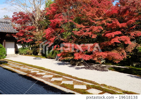 Tenshianan秋天的花園 Tenshianan秋天的花園 19618138