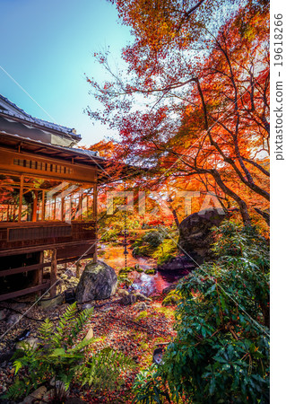 shoin (study room) in Hogonin 19618266