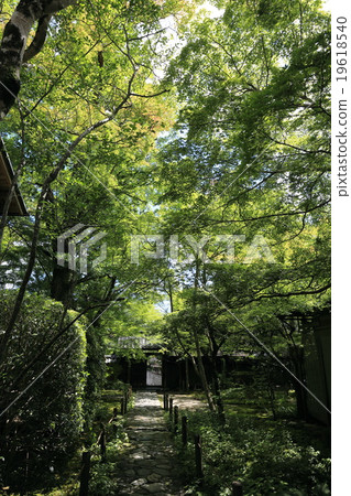 Summer lotus temple 19618540