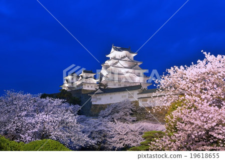 姬路城在春天點亮 19618655