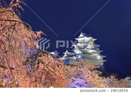 Himeji-jo castle light up in spring 19618656
