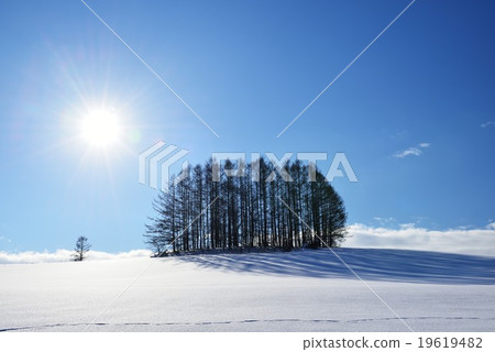 溫和七山 19619482
