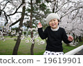Cherry blossoms in the background 19619901