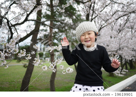 Cherry blossoms in the background 19619901