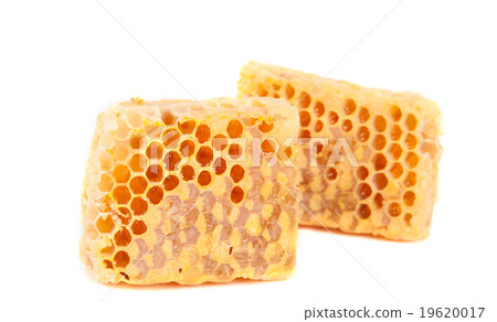 honeycomb honeycomb 19620017