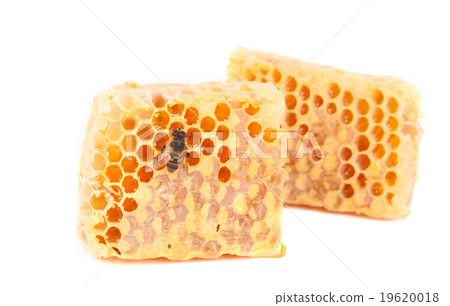 honeycomb 19620018