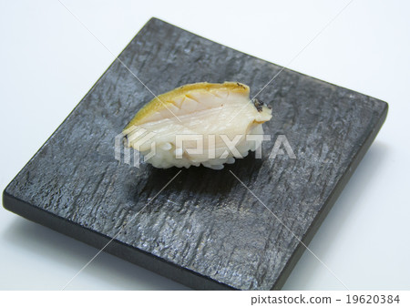 Nurari __活躍鮑魚1 Nurari __活躍鮑魚1 19620384