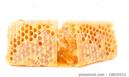 honeycomb 19620552