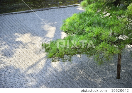 胜山神社 胜山神社 19620642