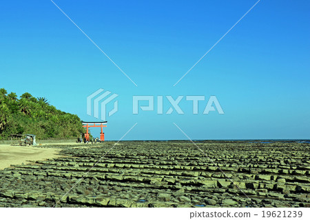 Miyazaki City Miyazaki City Qingdao 19621239