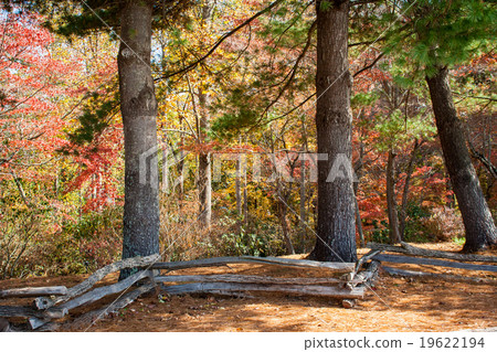 Split Rail Fence And Autumn Leaves Split Rail Fence And Autumn Leaves 19622194